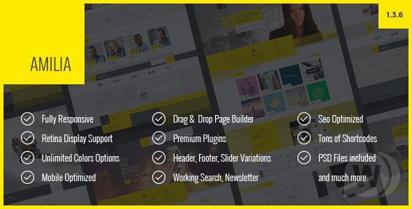 Amilia v1.3.6.1 - многоцелевая тема WordPress