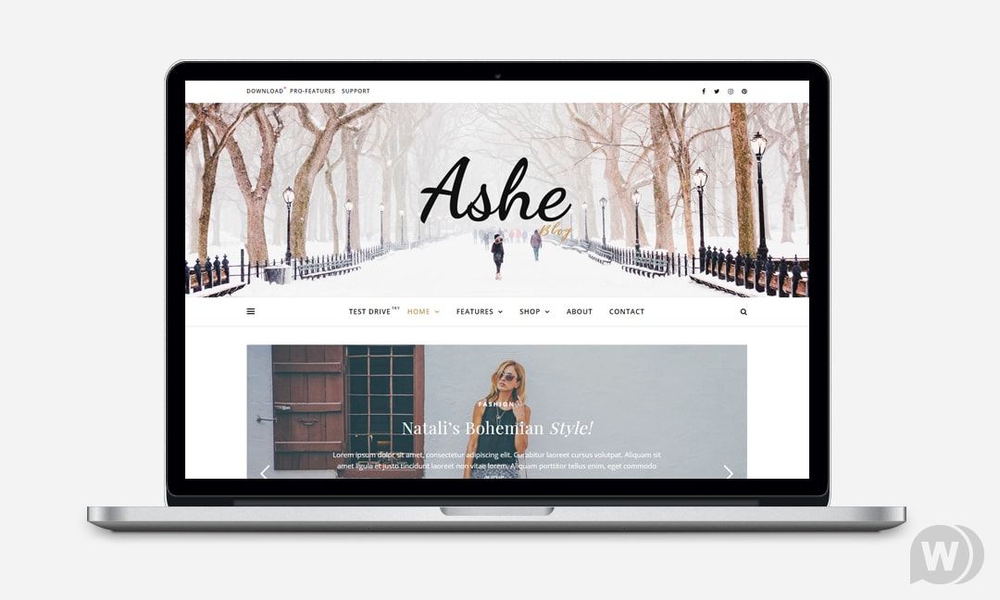 Ashe Blog Pro v3.5.3 - блоговый премиум шаблон WordPress