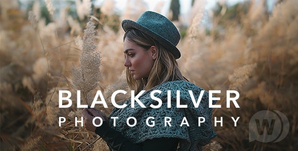 Blacksilver v8.7.2 - тема для профессиональных фотографов WP