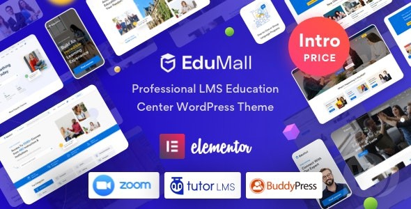 EduMall v2.9.8 NULLED - тема WordPress для профессионального образовательного центра LMS