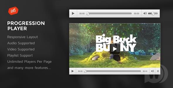 ProgressionPlayer v1.7 аудио/видео плеер для WordPress