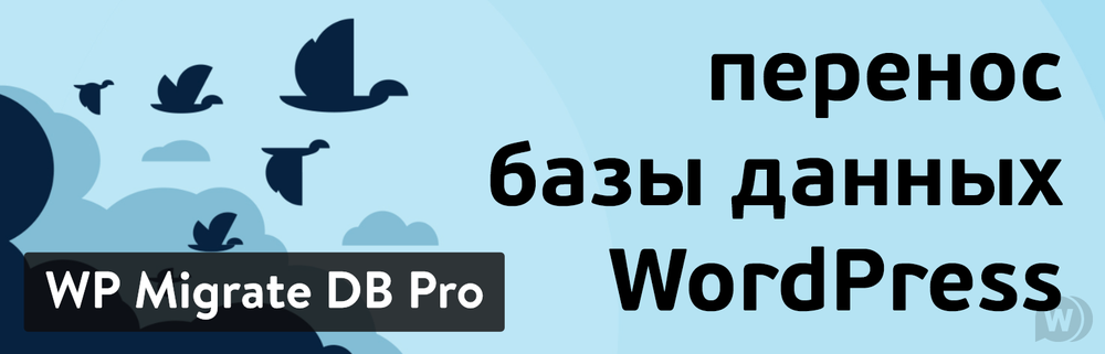 WP Migrate DB PRO v2.2.1 (+addons) - плагин переноса базы данных WordPress
